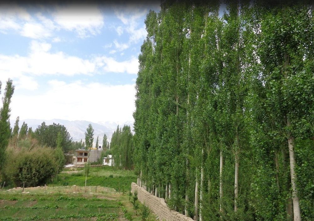 Hotel Holiday Ladakh Leh Buitenkant foto