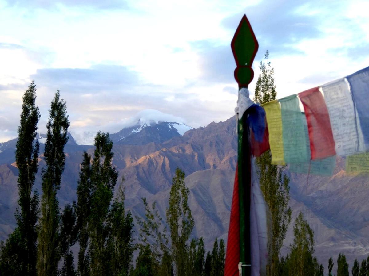 Hotel Holiday Ladakh Leh Buitenkant foto